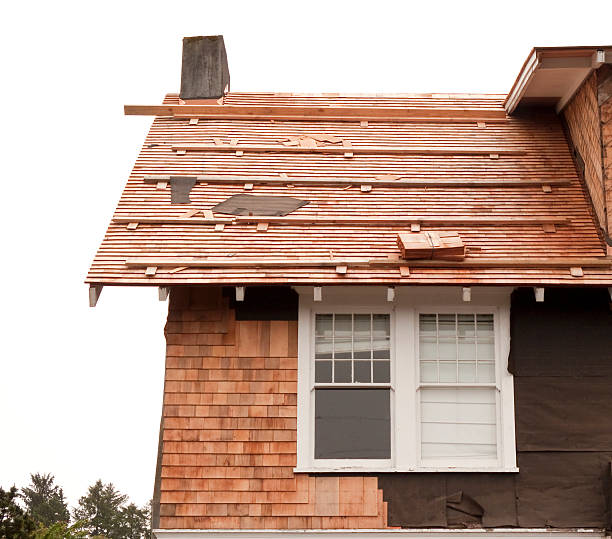 Best Siding Removal and Disposal  in Bayfield, CO